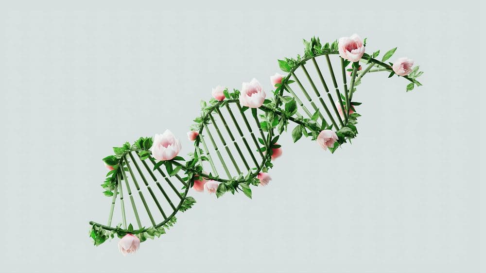 C1 Reading – 1000 Genomes Project: Insights into Human Genetic Variation