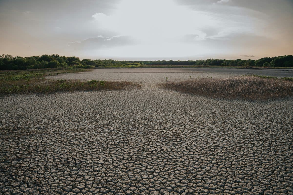 Combating Global Water Scarcity: Innovation and Cooperation