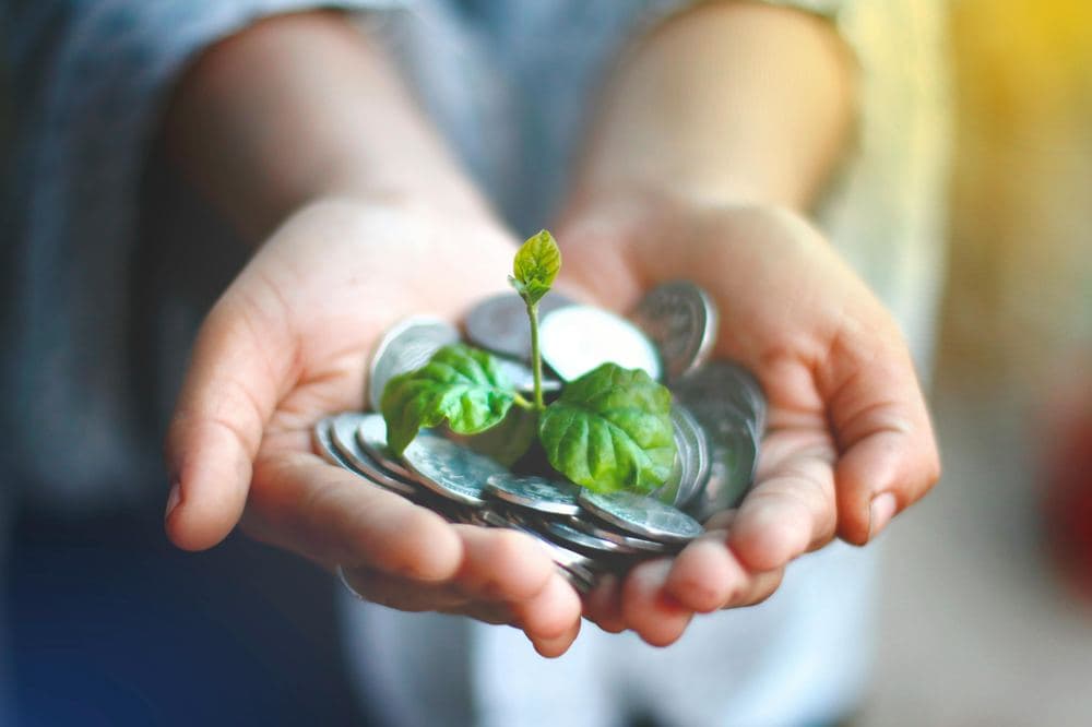 Sustainable Business Practices: Profit with Purpose