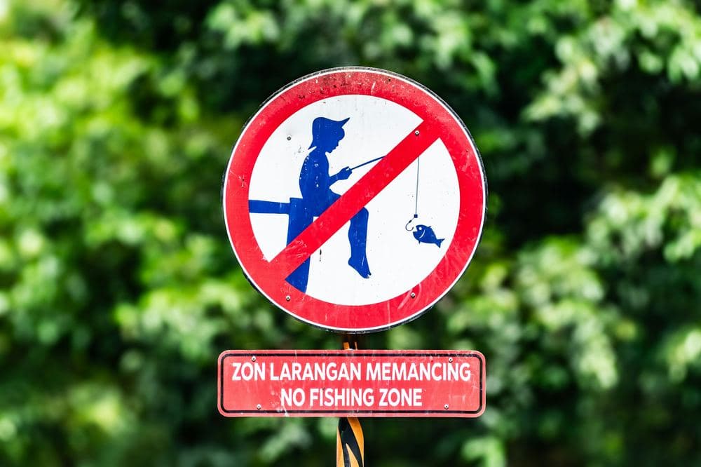 The Evolution of International Environmental Law