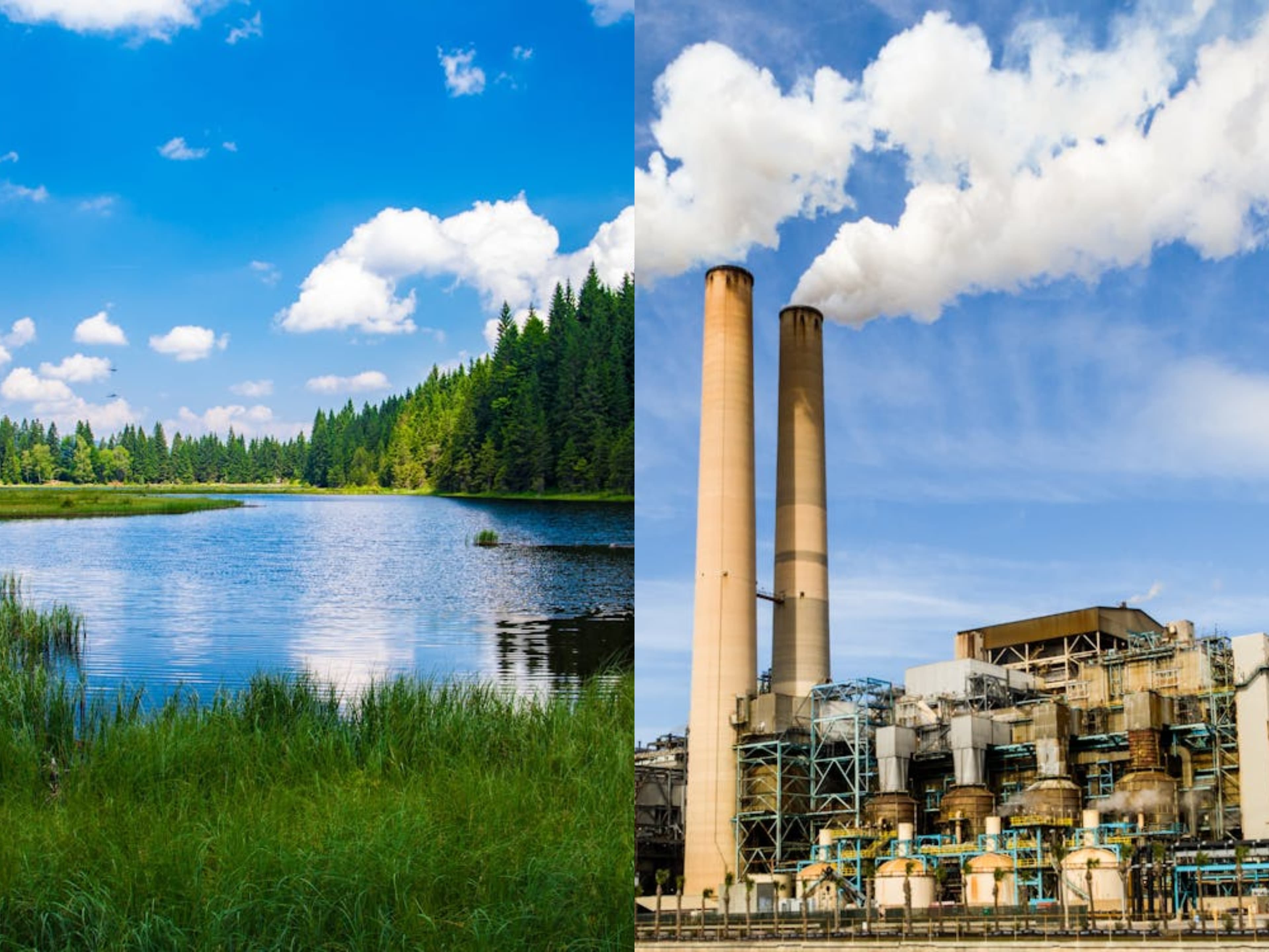 Environment and Pollution